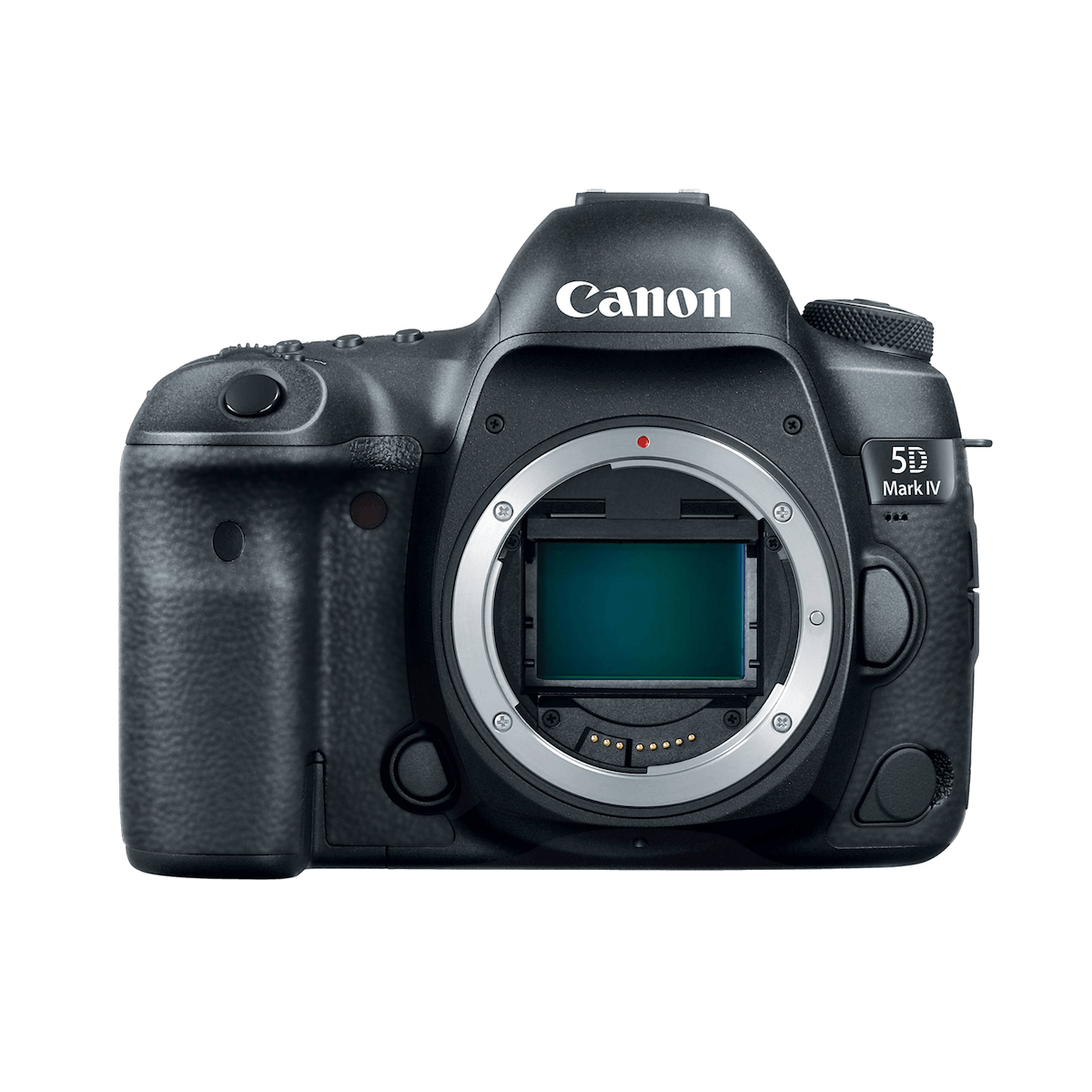 Canon EOS 5D Mark IV Skin Camera Wrap